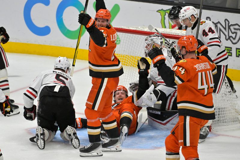 Nov 3, 2024; Anaheim, California, USA;  Anaheim Ducks left wing Brock McGinn (26) lands in the net after scoring a goal as center Isac Lundestrom (21) and left wing Ross Johnston (44) celebrate in the third period against the Chicago Blackhawks at Honda Center. Mandatory Credit: Jayne Kamin-Oncea-Imagn Images