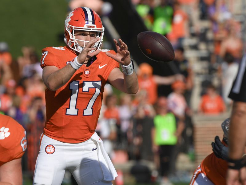 Sep 9, 2023; Clemson, South Carolina, USA;  Clemson quarterback Christopher Vizzina (17) takes a snap during the fourth quarter of the game with Charleston Southern at Memorial Stadium. Mandatory Credit: Ken Ruinard-USA TODAY Sports