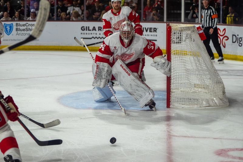 Coyotes Silence Red Wings with a Dominant 4-0 Shutout at Mullett Arena