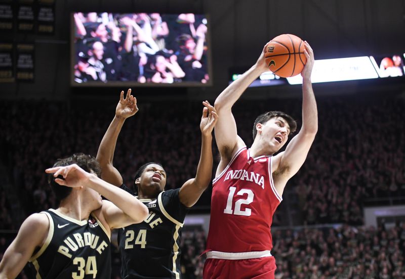 Jan 31, 2025; West Lafayette, Indiana, USA; Indiana Hoosiers center Langdon Hatton (12) rebounds the ball against Purdue Boilermakers guard Gicarri Harris (24) during the first half at Mackey Arena. Mandatory Credit: Robert Goddin-Imagn Images