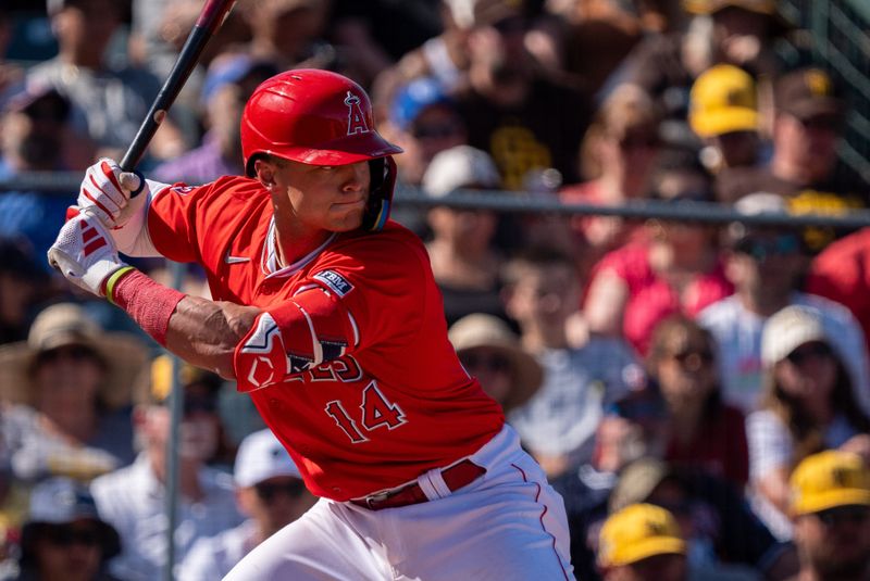 Mar 10, 2024; Tempe, Arizona, USA; Los Angeles Angels catcher Logan O’Hoppe (14) at bat in the sixth during a spring training game against the San Diego Padres at Tempe Diablo Stadium. Mandatory Credit: Allan Henry-USA TODAY Sports