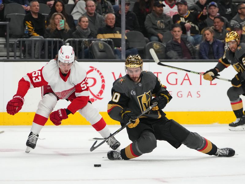 Jan 19, 2023; Las Vegas, Nevada, USA; Vegas Golden Knights center Nicolas Roy (10) looks to control the puck in front of Detroit Red Wings defenseman Moritz Seider (53) during the second period at T-Mobile Arena. Mandatory Credit: Stephen R. Sylvanie-USA TODAY Sports