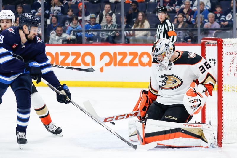 Mar 15, 2024; Winnipeg, Manitoba, CAN; Anaheim Ducks goalie John Gibson (36) stops Winnipeg Jets forward David Gustafsson (19) during the second period at Canada Life Centre. Mandatory Credit: Terrence Lee-USA TODAY Sports