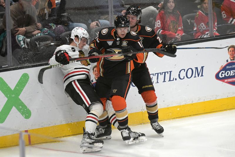 Mar 21, 2024; Anaheim, California, USA;  Chicago Blackhawks defenseman Kevin Korchinski (55), Anaheim Ducks center Ryan Strome (16) and center Mason McTavish (23) battle along the boards in the second period at Honda Center. Mandatory Credit: Jayne Kamin-Oncea-USA TODAY Sports