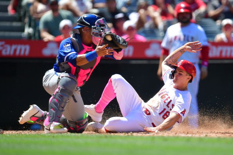 May 12, 2024; Anaheim, California, USA; Los Angeles Angels center fielder Mickey Moniak (16) scores a run ahead of Kansas City Royals catcher Freddy Fermin (34) during the sixth inning at Angel Stadium. Mandatory Credit: Gary A. Vasquez-USA TODAY Sports