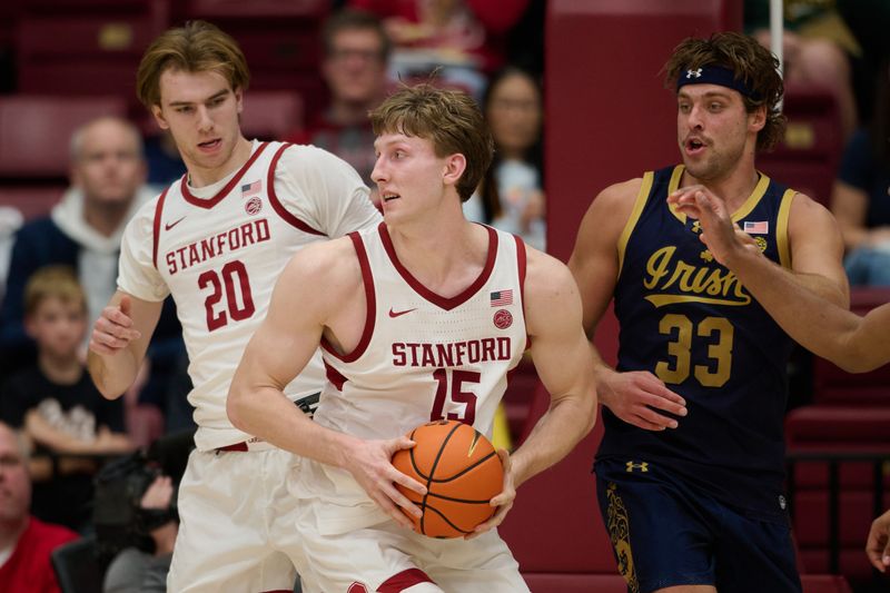 Dec 30, 2025; Stanford, California, USA; Stanford Cardinal center Oskar Giltay (15) and forward Cameron Grant (20) control the ball against Notre Dame Fighting Irish forward Carson Towt (33) during the second half at Maples Pavilion. Mandatory Credit: Robert Edwards-Imagn Images