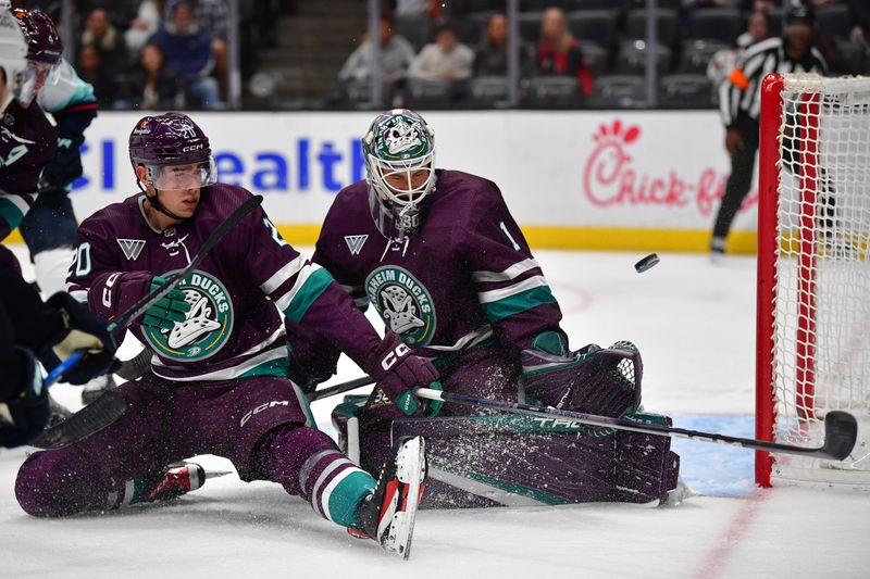 Dec 23, 2023; Anaheim, California, USA; Anaheim Ducks goaltender Lukas Dostal (1) allows a goal scored by Seattle Kraken left wing Tomas Tatar (90) during the third period at Honda Center. Mandatory Credit: Gary A. Vasquez-USA TODAY Sports