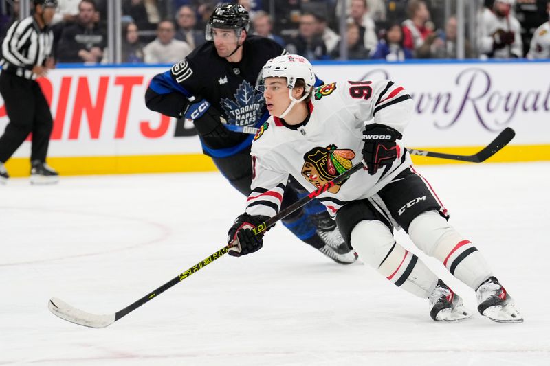 Dec 2, 2024; Toronto, Ontario, CAN; Chicago Blackhawks forward Connor Bedard (98) and Toronto Maple Leafs forward John Tavares (91) look for the puck during the second period at Scotiabank Arena. Mandatory Credit: John E. Sokolowski-Imagn Images