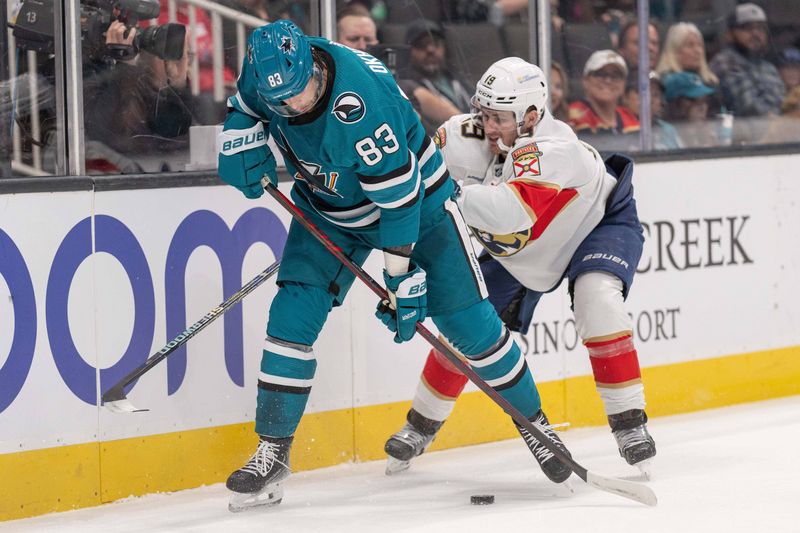 Nov 14, 2023; San Jose, California, USA; San Jose Sharks defenseman Nikita Okhotiuk (83) and Florida Panthers left wing Matthew Tkachuk (19) fight for control of the puck during the first period at SAP Center at San Jose. Mandatory Credit: Stan Szeto-USA TODAY Sports