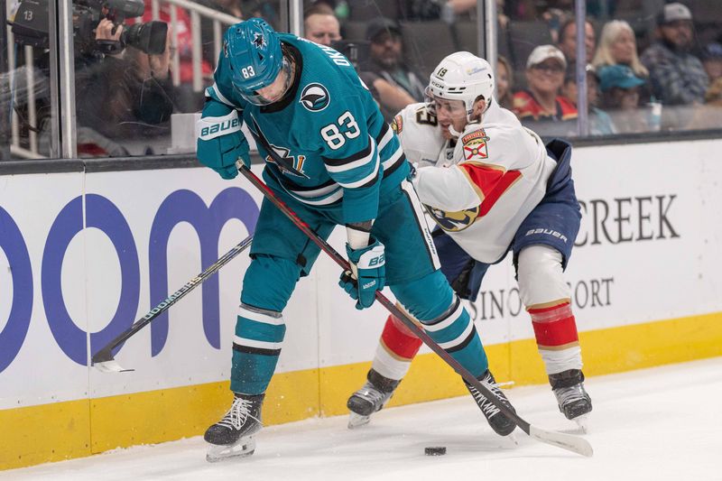 Nov 14, 2023; San Jose, California, USA; San Jose Sharks defenseman Nikita Okhotiuk (83) and Florida Panthers left wing Matthew Tkachuk (19) fight for control of the puck during the first period at SAP Center at San Jose. Mandatory Credit: Stan Szeto-USA TODAY Sports