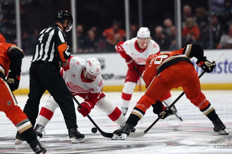 Oct 31, 2025; Anaheim, California, USA;  Detroit Red Wings center Dylan Larkin (71) and Anaheim Ducks center Leo Carlsson (91) faceoff during the first period at Honda Center. Mandatory Credit: Kiyoshi Mio-Imagn Images