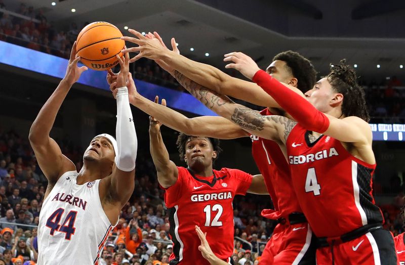 Feb 1, 2023; Auburn, Alabama, USA;  Auburn Tigers center Dylan Cardwell (44) plays for the rebound against Georgia Bulldogs forward Matthew-Alexander Moncrieffe (12) guard Jabri Abdur-Rahim (1) and guard Jusaun Holt (4) during the second half at Neville Arena. Mandatory Credit: John Reed-USA TODAY Sports