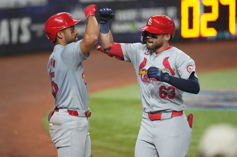 Jun 17, 2024; Miami, Florida, USA;  St. Louis Cardinals center fielder Michael Siani (63) celebrates a solo home run in the fifth inning against the Miami Marlins with second baseman José Fermín (15) at loanDepot Park. Mandatory Credit: Jim Rassol-USA TODAY Sports