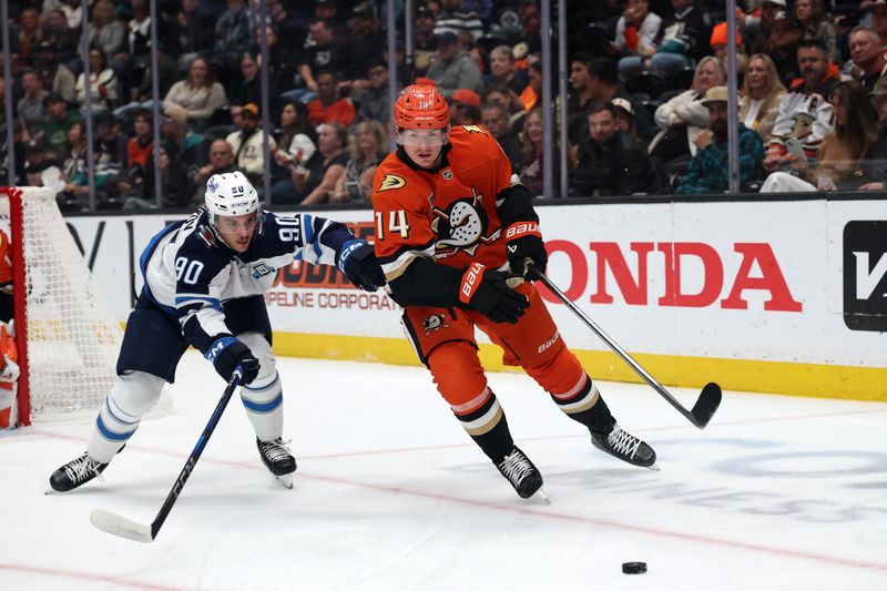Nov 9, 2025; Anaheim, California, USA;  Anaheim Ducks defenseman Drew Helleson (14) controls the puck against Winnipeg Jets right wing Nikita Chibrikov (90) during the first period at Honda Center. Mandatory Credit: Kiyoshi Mio-Imagn Images