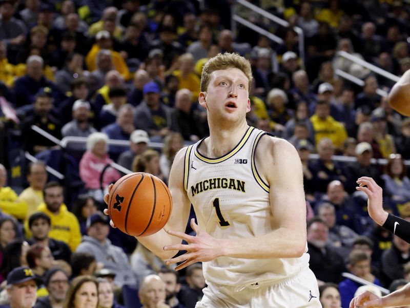 Feb 11, 2025; Ann Arbor, Michigan, USA;  Michigan Wolverines center Danny Wolf (1) dribbles in the first half against the Purdue Boilermakers at Crisler Center. Mandatory Credit: Rick Osentoski-Imagn Images