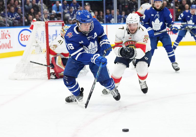 Nov 28, 2023; Toronto, Ontario, CAN; Toronto Maple Leafs right wing Mitchell Marner (16) battles for the puck with Florida Panthers defenseman Dmitry Kulikov (7) during the third period at Scotiabank Arena. Mandatory Credit: Nick Turchiaro-USA TODAY Sports