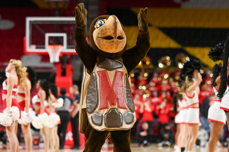 Feb 29, 2024; College Park, Maryland, USA;  Maryland Terrapins mascot Testudo reacts on the court during the second half of the game against the Wisconsin Badgers at Xfinity Center. Mandatory Credit: Tommy Gilligan-USA TODAY Sports