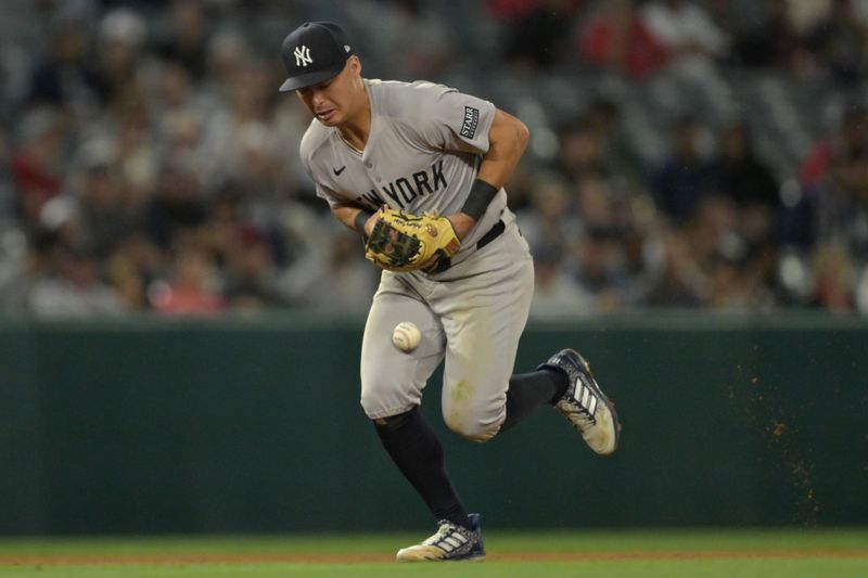 May 30, 2024; Anaheim, California, USA;  New York Yankees shortstop Anthony Volpe (11) is charged with an error as he gets handcuffed on a ball hit by Los Angeles Angels right fielder Jo Adell (7) in the ninth inning at Angel Stadium. Mandatory Credit: Jayne Kamin-Oncea-USA TODAY Sports