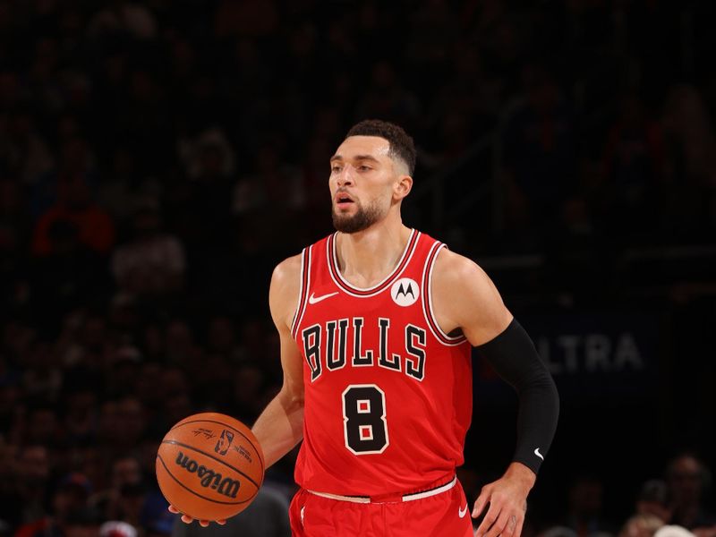 NEW YORK, NY - NOVEMBER 13: Zach LaVine #8 of the Chicago Bulls dribbles the ball during the game against the New York Knicks on November 13, 2024 at Madison Square Garden in New York City, New York.  NOTE TO USER: User expressly acknowledges and agrees that, by downloading and or using this photograph, User is consenting to the terms and conditions of the Getty Images License Agreement. Mandatory Copyright Notice: Copyright 2024 NBAE  (Photo by Joe Murphy/NBAE via Getty Images)