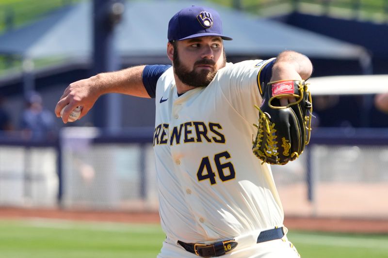 Mar 13, 2024; Phoenix, Arizona, USA; Milwaukee Brewers relief pitcher Bryse Wilson (46) throws against the Chicago White Sox in the first inning at American Family Fields of Phoenix. Mandatory Credit: Rick Scuteri-USA TODAY Sports