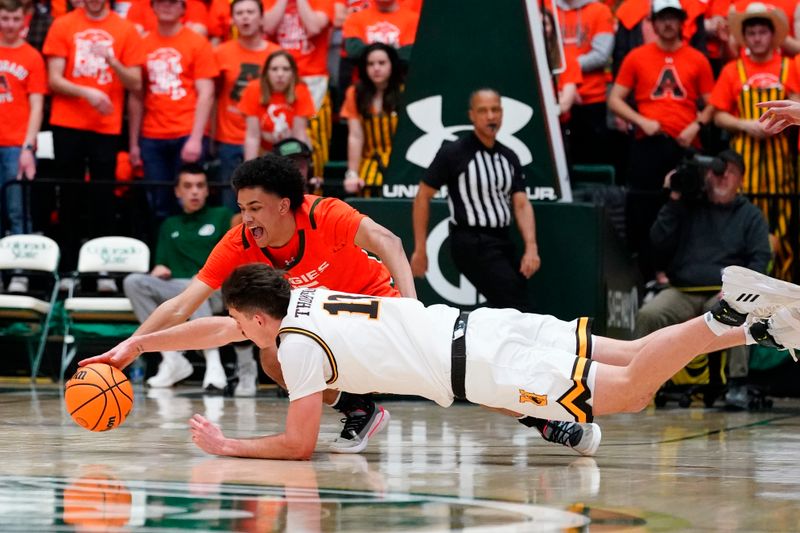 Feb 24, 2023; Fort Collins, Colorado, USA; \Colorado State Rams guard Jalen Lake (15) and Wyoming Cowboys forward Hunter Thompson (10) scramble for a loose ball in second half action at Moby Arena. Mandatory Credit: Michael Madrid-USA TODAY Sports