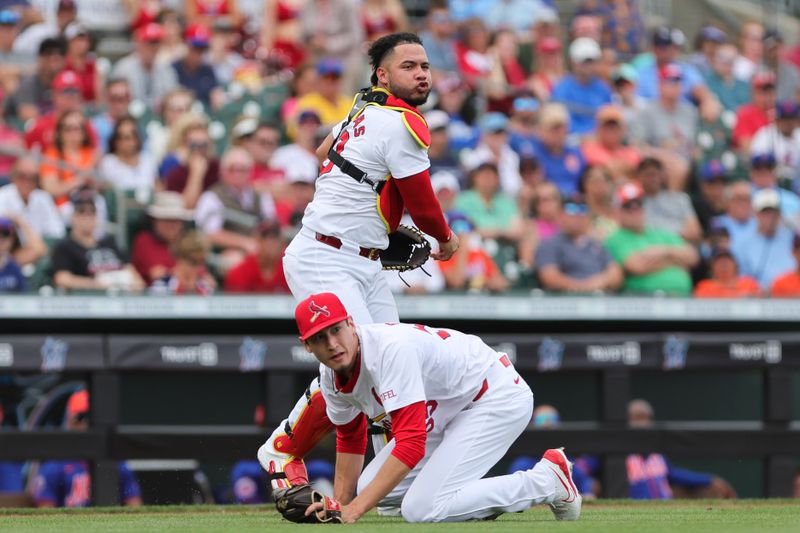 Will the Mets Overcome Recent Struggles to Defeat the Cardinals?