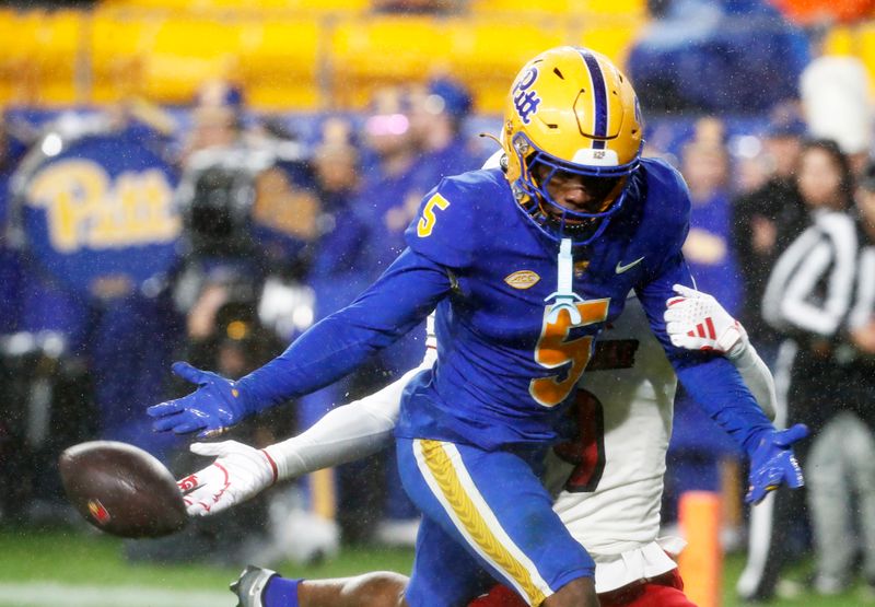 Oct 14, 2023; Pittsburgh, Pennsylvania, USA; Pittsburgh Panthers defensive back Phillip O'Brien Jr. (5) commits a pass interference against Louisville Cardinals wide receiver Ahmari Huggins-Bruce (9) in the end zone during the second quarter at Acrisure Stadium. Mandatory Credit: Charles LeClaire-USA TODAY Sports