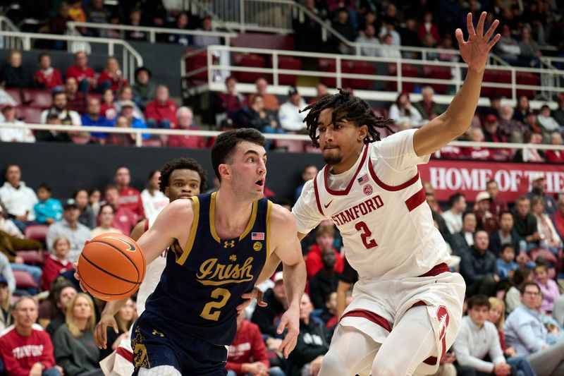 Notre Dame Fighting Irish vs Stanford Cardinal: Brady Stevens Set to Shine in Upcoming Clash