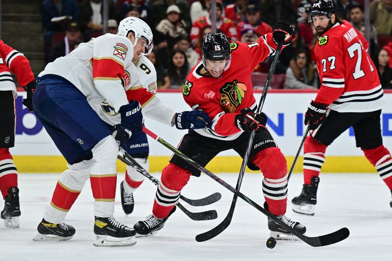 Nov 21, 2024; Chicago, Illinois, USA; Florida Panthers defenseman Niko Mikkola (77) and Chicago Blackhawks center Craig Smith (15) battle for the puck during the second period at the United Center. Mandatory Credit: Daniel Bartel-Imagn Images