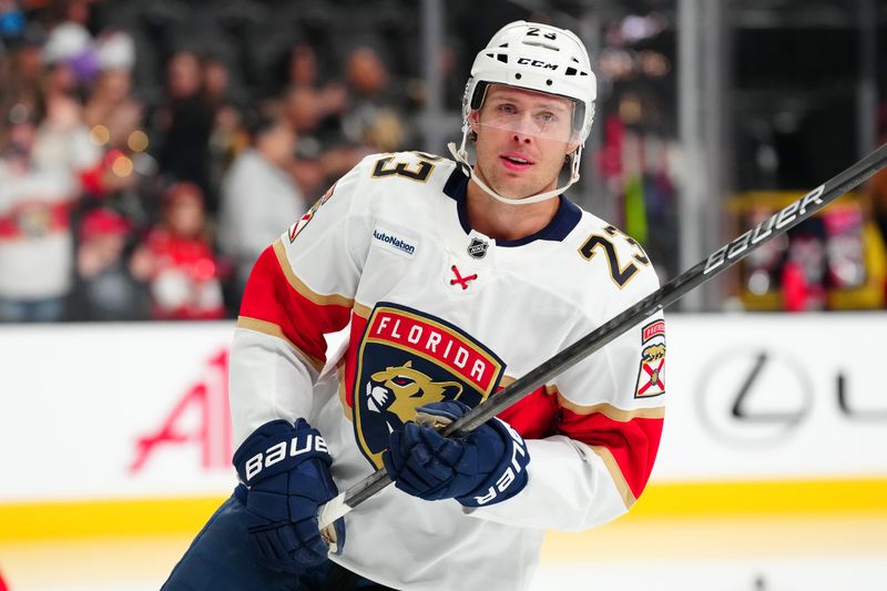 Jan 26, 2025; Las Vegas, Nevada, USA; Florida Panthers center Carter Verhaeghe (23) warms up before a game against the Vegas Golden Knights at T-Mobile Arena. Mandatory Credit: Stephen R. Sylvanie-Imagn Images