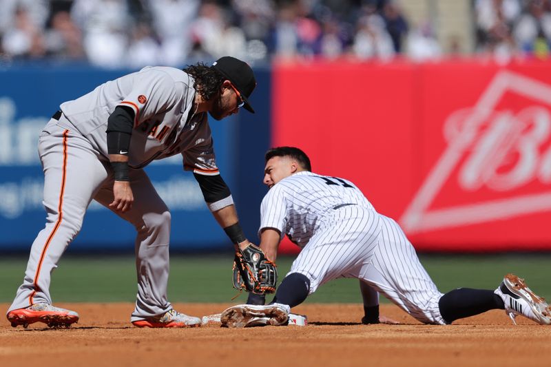 Mar 30, 2023; Bronx, New York, USA; New York Yankees shortstop Anthony Volpe (11) steals second base ahead of a tag by San Francisco Giants shortstop Brandon Crawford (35) during the third inning at Yankee Stadium. Mandatory Credit: Brad Penner-USA TODAY Sports