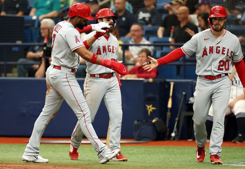 Sep 21, 2023; St. Petersburg, Florida, USA; Los Angeles Angels right fielder Jo Adell (7) and Los Angeles Angels first baseman Jared Walsh (20) celebrate after they both score runs against the Tampa Bay Rays during the fourth inning at Tropicana Field. Mandatory Credit: Kim Klement Neitzel-USA TODAY Sports