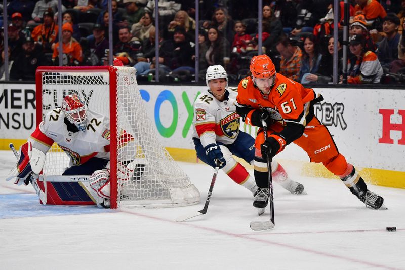 Jan 21, 2025; Anaheim, California, USA; Florida Panthers goaltender Sergei Bobrovsky (72) defends the goal as defenseman Gustav Forsling (42) plays for the puck against Anaheim Ducks left wing Cutter Gauthier (61) during the second period at Honda Center. Mandatory Credit: Gary A. Vasquez-Imagn Images