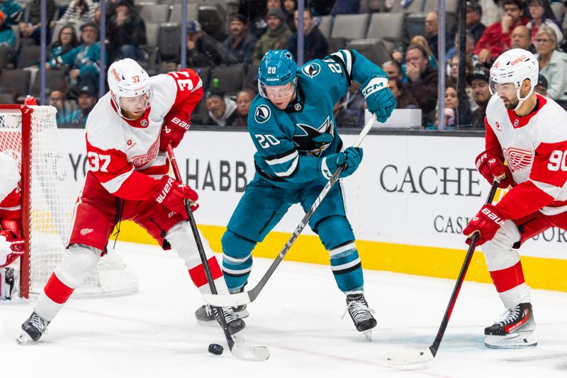 Nov 18, 2024; San Jose, California, USA; Detroit Red Wings left wing J.T. Compher (37) and San Jose Sharks left wing Fabian Zetterlund (20) fight for the puck during the third period at SAP Center at San Jose. Mandatory Credit: Bob Kupbens-Imagn Images