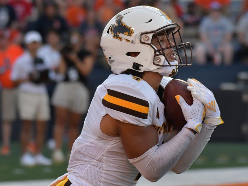 Aug 27, 2022; Champaign, Illinois, USA;  Wyoming Cowboys cornerback Cam Stone (4) catches a punt in the  second half against Illinois at Memorial Stadium. Mandatory Credit: Ron Johnson-USA TODAY Sports