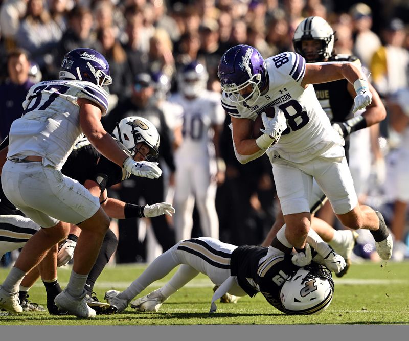 Nov 2, 2024; West Lafayette, Indiana, USA; Northwestern Wildcats tight end Marshall Lang (88) is tackled by Purdue Boilermakers defensive back Botros Alisandro (19) during the second half at Ross-Ade Stadium. Mandatory Credit: Marc Lebryk-Imagn Images