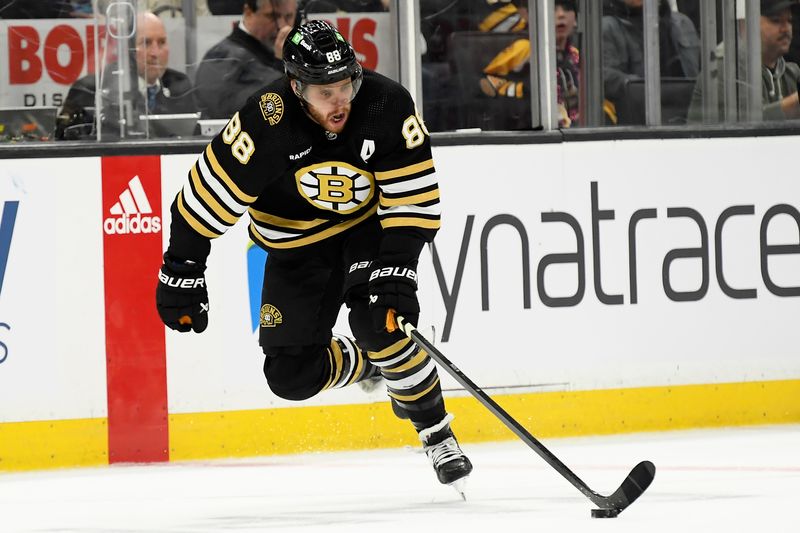 Feb 13, 2024; Boston, Massachusetts, USA;  Boston Bruins right wing David Pastrnak (88) skates with the puck during the third period against the Tampa Bay Lightning at TD Garden. Mandatory Credit: Bob DeChiara-USA TODAY Sports