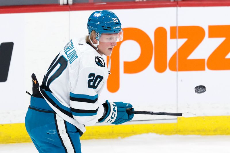 Feb 14, 2024; Winnipeg, Manitoba, CAN; San Jose Sharks left wing Fabian Zetterlund (20) puck juggles before a game against the Winnipeg Jets at Canada Life Centre. Mandatory Credit: James Carey Lauder-USA TODAY Sports