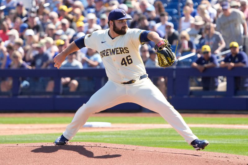 Mar 13, 2024; Phoenix, Arizona, USA; Milwaukee Brewers relief pitcher Bryse Wilson (46) throws against the Chicago White Sox in the first inning at American Family Fields of Phoenix. Mandatory Credit: Rick Scuteri-USA TODAY Sports