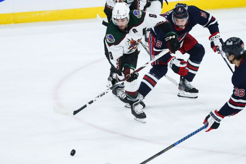 Nov 18, 2023; Winnipeg, Manitoba, CAN;  Arizona Coyotes forward Nick Schmaltz (8) shields the puck from Winnipeg Jets defenseman Dylan DeMelo (2) during the third period at Canada Life Centre. Mandatory Credit: Terrence Lee-USA TODAY Sports