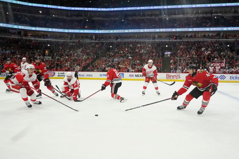 Nov 6, 2024; Chicago, Illinois, USA; Detroit Red Wings defenseman Albert Johansson (20) and Chicago Blackhawks defenseman Wyatt Kaiser (44) go for the puck during the third period at United Center. Mandatory Credit: David Banks-Imagn Images