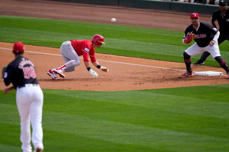 Feb. 24, 2024; Goodyear, Arizona, USA; Cincinnati Reds center fielder TJ Friedl (29) dives back to first base on a pick-off attempt from Cleveland Guardians pitcher Carlos Carrasco in the first inning during a MLB spring training game at Goodyear Ballpark. Mandatory Credit: Kareem Elgazzar-USA TODAY Sports