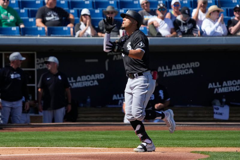 Mar 13, 2024; Phoenix, Arizona, USA; Chicago White Sox centerfield Rafael Ortega (30) reacts after hitting a solo home run against the Milwaukee Brewers in the first inning at American Family Fields of Phoenix. Mandatory Credit: Rick Scuteri-USA TODAY Sports