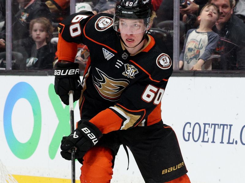 Mar 24, 2024; Anaheim, California, USA; Anaheim Ducks defenseman Jackson LaCombe (60) skates with the puck during the first period against the Tampa Bay Lightning at Honda Center. Mandatory Credit: Jason Parkhurst-USA TODAY Sports