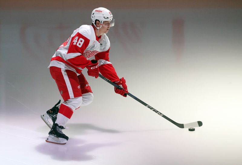 Nov 13, 2024; Pittsburgh, Pennsylvania, USA;  Detroit Red Wings right wing Jonatan Berggren (48) takes the ice to warm up against the Pittsburgh Penguins at PPG Paints Arena. Mandatory Credit: Charles LeClaire-Imagn Images