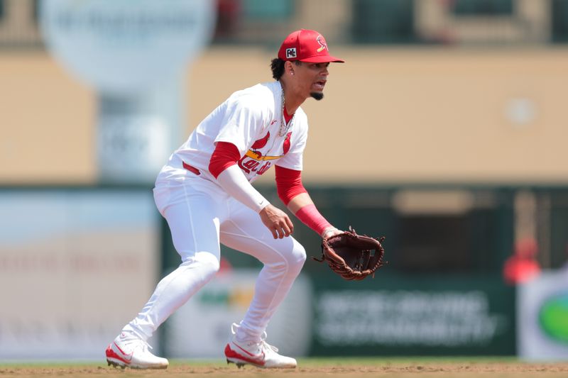 Mar 15, 2025; Jupiter, Florida, USA; St. Louis Cardinals shortstop Masyn Winn (0) plays his position against the Toronto Blue Jays during the second inning at Roger Dean Chevrolet Stadium. Mandatory Credit: Sam Navarro-Imagn Images