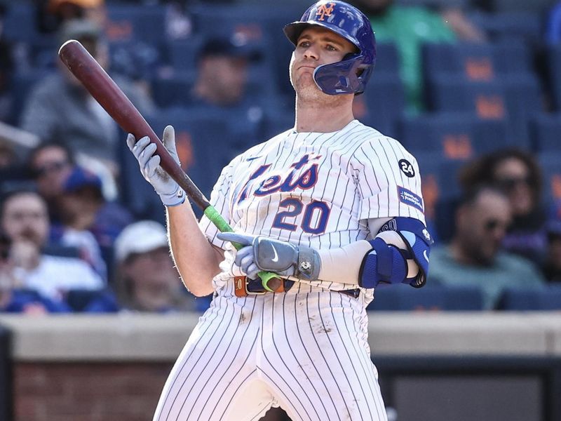 Sep 8, 2024; New York City, New York, USA;  New York Mets first baseman Pete Alonso (20) reacts after being called out on strikes in the eighth inning against the Cincinnati Reds at Citi Field. Mandatory Credit: Wendell Cruz-Imagn Images