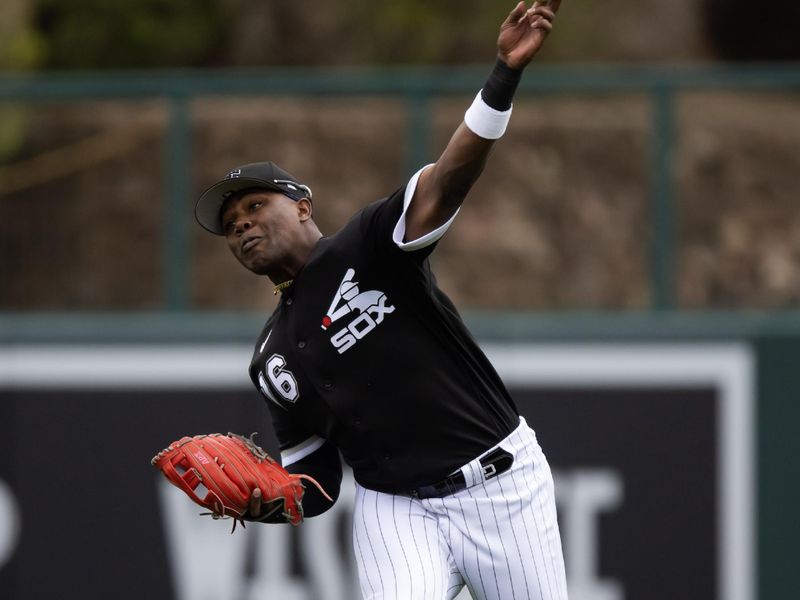 Mar 1, 2023; Phoenix, Arizona, USA; Chicago White Sox outfielder Oscar Colas against the Cleveland Guardians during a spring training game at Camelback Ranch-Glendale. Mandatory Credit: Mark J. Rebilas-USA TODAY Sports