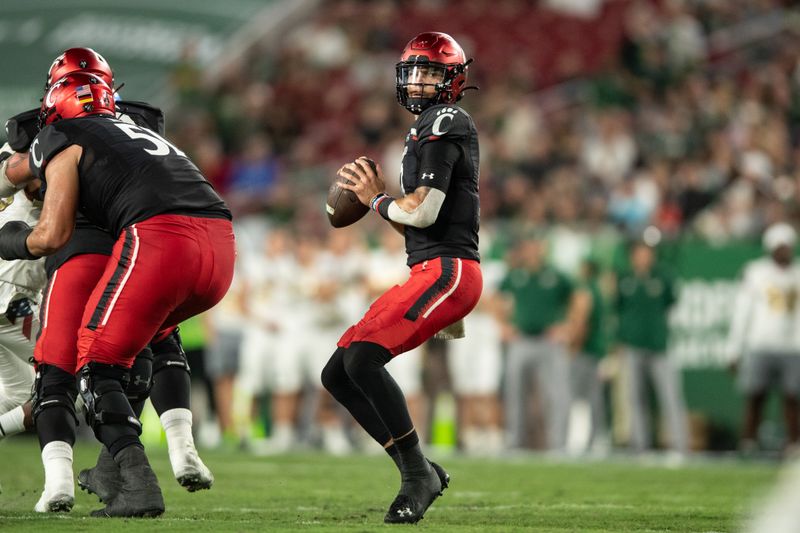 Nov 12, 2021; Tampa, Florida, USA; Cincinnati Bearcats quarterback Desmond Ridder (9) gets ready to throw the ball in the second quarter against the South Florida Bulls at Raymond James Stadium. Mandatory Credit: Jeremy Reper-USA TODAY Sports