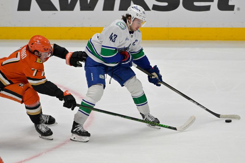 Nov 5, 2024; Anaheim, California, USA; Anaheim Ducks right wing Frank Vatrano (77) reaches for the puck controlled by Vancouver Canucks defenseman Quinn Hughes (43) in the first period at Honda Center. Mandatory Credit: Jayne Kamin-Oncea-Imagn Images